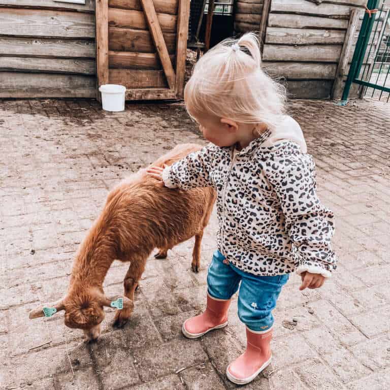Budgetuitje De leukste kinderboerderijen in Nederland! - Mama's Meisje blog