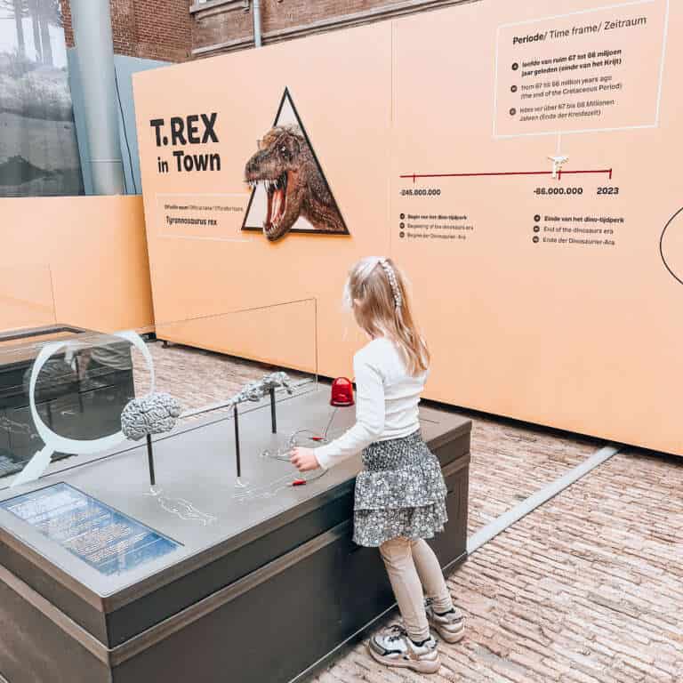 Budget uitje Natuurmuseum Fryslân met kinderen - Mama's Meisje blog