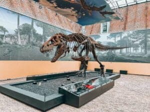 T.rex in Town expositie dino uitje - Mama's Meisje blog