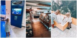 natuurmuseum fryslân welke leeftijd budget uitje in Friesland - Mama's Meisje blog