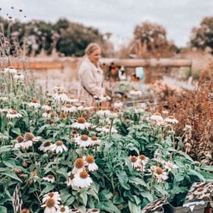 Tuin winterklaar maken 3 bespaartips - Mama's Meisje blog